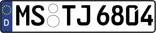 MS-TJ6804