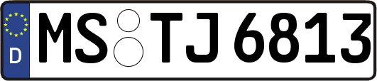 MS-TJ6813