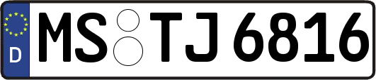 MS-TJ6816