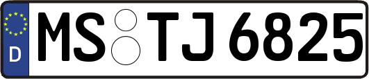 MS-TJ6825