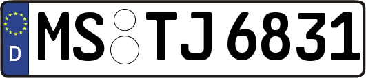 MS-TJ6831
