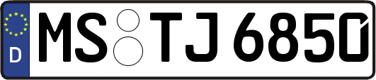 MS-TJ6850