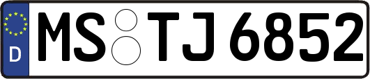 MS-TJ6852