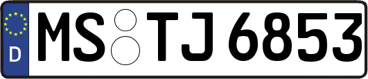 MS-TJ6853
