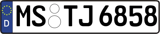 MS-TJ6858