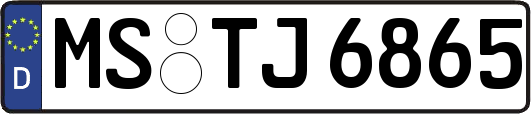 MS-TJ6865