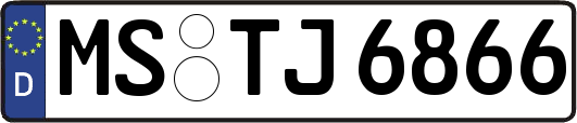 MS-TJ6866