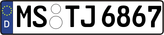 MS-TJ6867