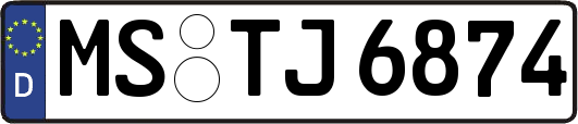 MS-TJ6874