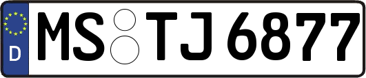 MS-TJ6877