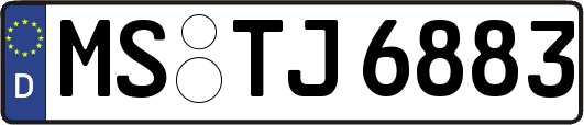 MS-TJ6883