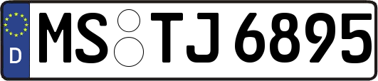 MS-TJ6895