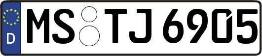 MS-TJ6905