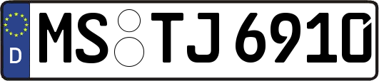 MS-TJ6910