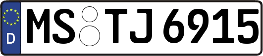 MS-TJ6915