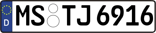MS-TJ6916