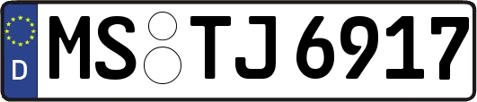 MS-TJ6917