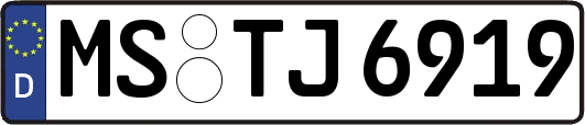 MS-TJ6919