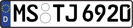 MS-TJ6920