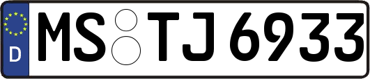 MS-TJ6933