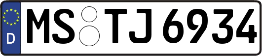 MS-TJ6934