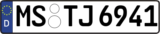 MS-TJ6941
