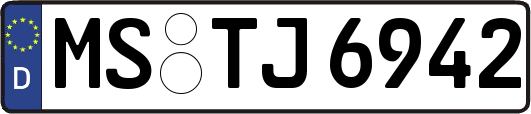 MS-TJ6942