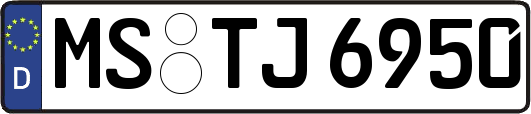 MS-TJ6950