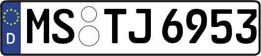 MS-TJ6953