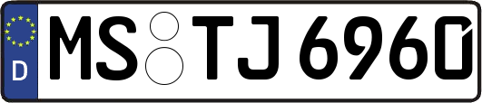 MS-TJ6960