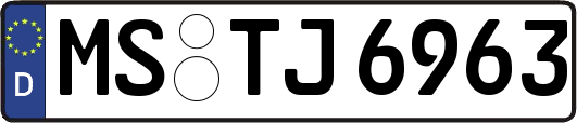 MS-TJ6963