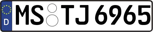MS-TJ6965