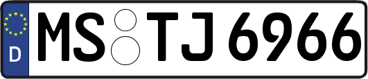 MS-TJ6966