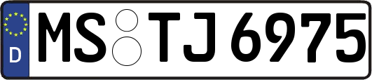 MS-TJ6975