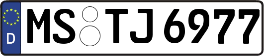 MS-TJ6977