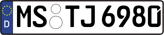 MS-TJ6980