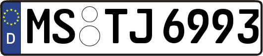 MS-TJ6993