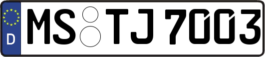 MS-TJ7003