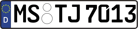 MS-TJ7013