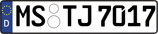 MS-TJ7017