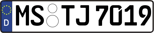 MS-TJ7019