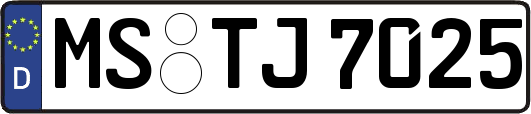 MS-TJ7025