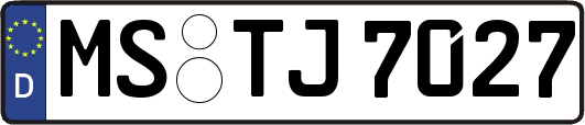 MS-TJ7027