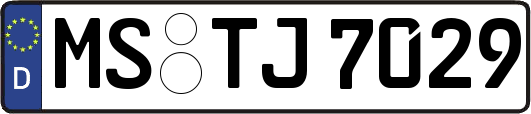MS-TJ7029