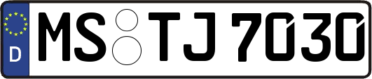 MS-TJ7030