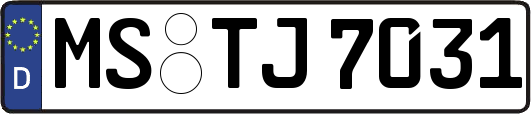 MS-TJ7031