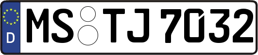 MS-TJ7032