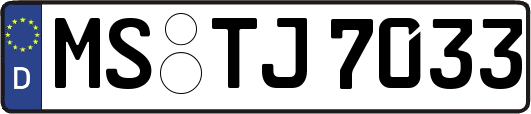 MS-TJ7033