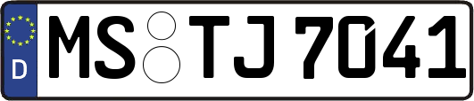 MS-TJ7041