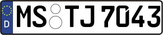 MS-TJ7043